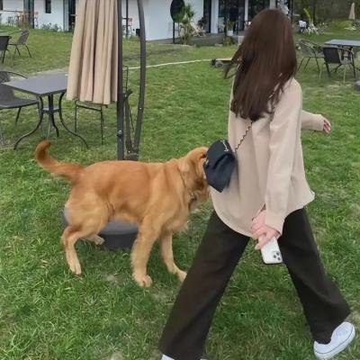 绑架门口狗